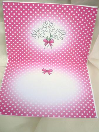 Pretty Polka Dots Insert A5 Landscape by Ann Ramsell