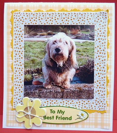 Scruffy Little Dog by Ann Ramsell