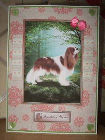 Faithful Friend by Ann-Marie Lawson