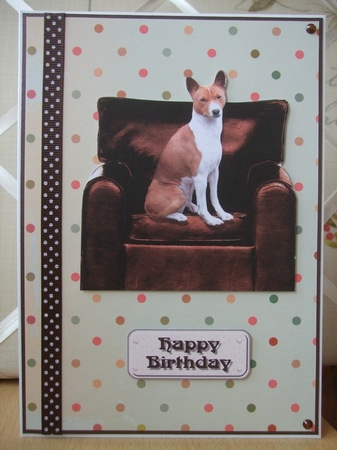 Basenji in an Arm Chair by Ann-Marie Lawson