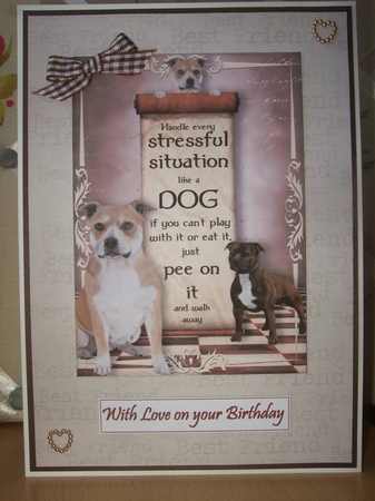 Handle Every Stressful Situation Like a Dog - bull Terrier by Ann-Marie Lawson