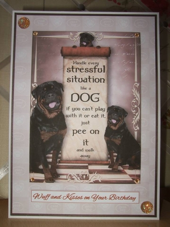Handle Every Stressful Situation Like a Dog - rottweiller by Ann-Marie Lawson