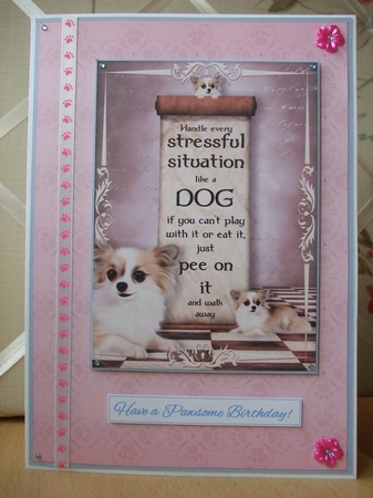 Handle Every Stressful Situation Like a Dog - chihuahua by Ann-Marie Lawson