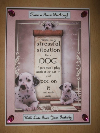 Handle Every Stressful Situation Like a Dog - dalmation by Ann-Marie Lawson