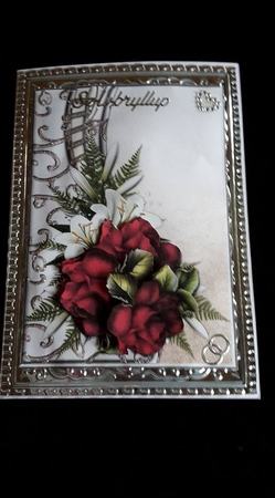 Beautiful  Shaped Border & Red Roses Featured Gallery Photo