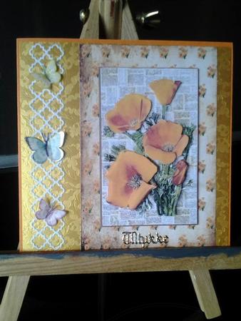 Californian Poppies, Orange by Ann-Marie Mathiesen