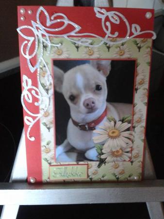 The Chihuahua by Ann-Marie Mathiesen