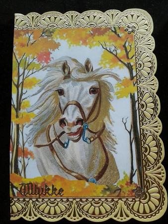 Beautiful White Horse in the Meadow A4 by Ann-Marie Mathiesen