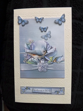 3 in 1 Songbird by Ann McKenzie
