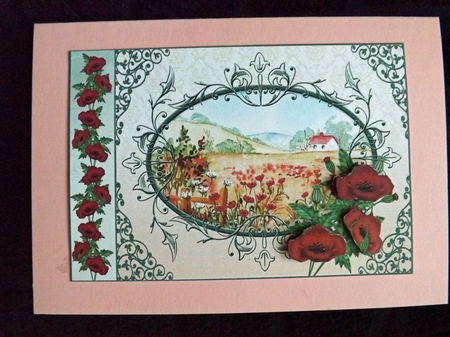 Poppy Field Country Scene by Ann McKenzie