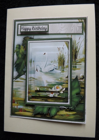 Peaceful Swans Female Card by Ann McKenzie