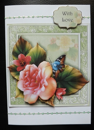 Beautiful Pink Begonia by Ann McKenzie