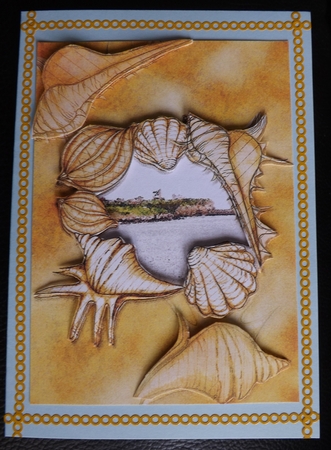 Seashell on Seashore by Ann McKenzie