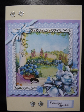 Cat in the Rose Garden by Ann McKenzie