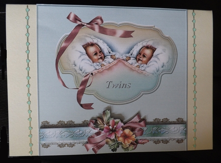 New Baby Twins by Ann McKenzie