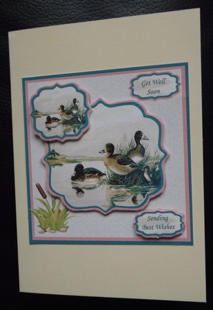 Get Well Soon Card with Mallard Pond Scene by Ann McKenzie