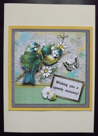 Birds and Butterfly Birthday or Get Well by Ann McKenzie