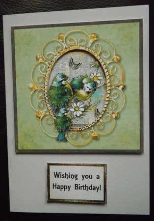 Birds and Butterfly Birthday or Get Well Insert by Ann McKenzie