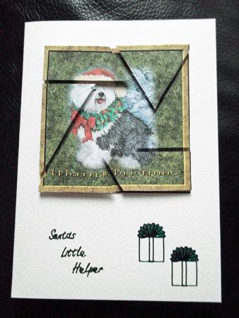 Christmas Sheep Dog Camera Eye Stacker by Ann McKenzie