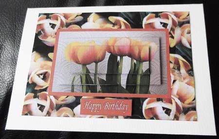 Tulips for Mum by Ann McKenzie