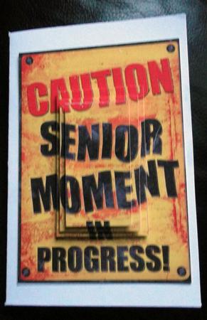A5 Fun Novelty Senior Moment Pyramage Topper by Ann McKenzie