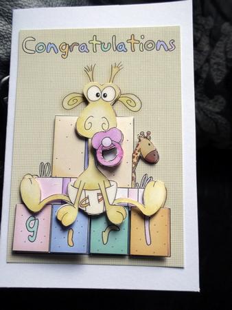 New Baby Girl Giraffe Congratulations Step by Step by Ann McKenzie