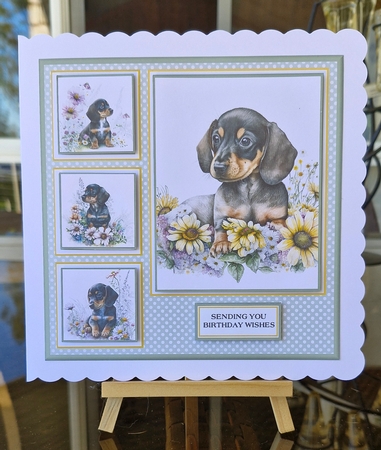 8x8 Baby Dachshund Mini Kit - x5 A4 sheets  by Lorrae Nicklen