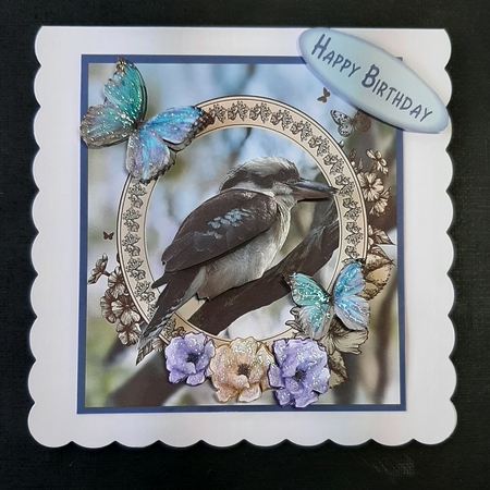 kookaburra by Lorrae Nicklen