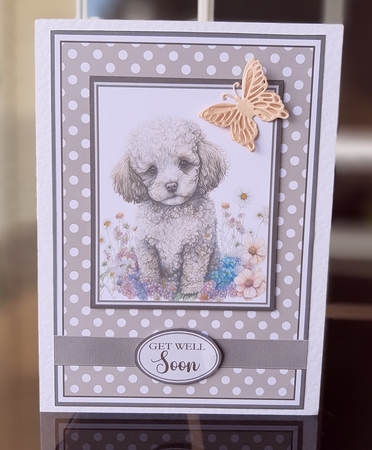 A5 Poodles Dog Collection Mini Kit - x6 A4 Sheets  by Lorrae Nicklen