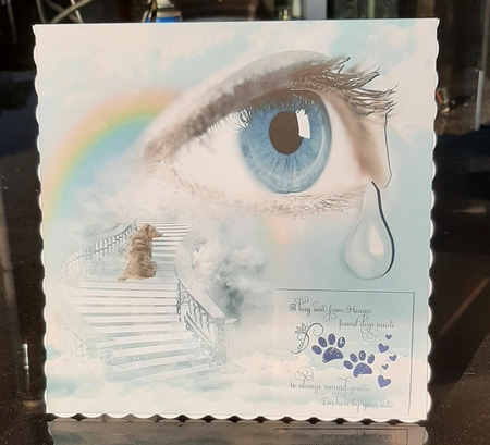 goodbye by Lorrae Nicklen