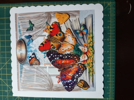 book of butterflies by Lorrae Nicklen