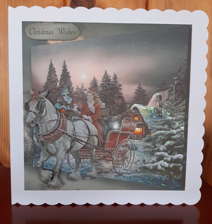 winter ride  by Lorrae Nicklen