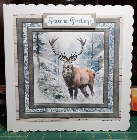 Framed Christmas stag card front 2 by Lorrae Nicklen