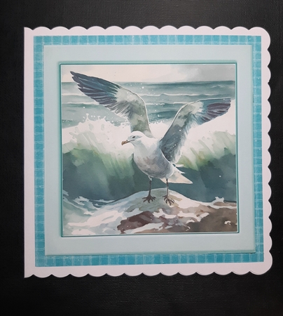 Lovely Turq Ocean With Seagull 8x8 (One) by Lorrae Nicklen