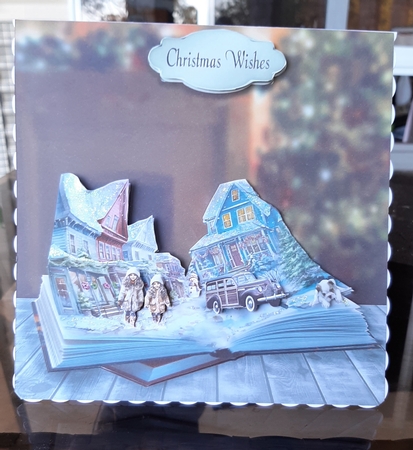 Christmas street by Lorrae Nicklen