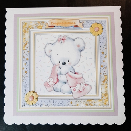 8x8 Mini Kit, Gorgeous Teddy in a Blanket by Lorrae Nicklen