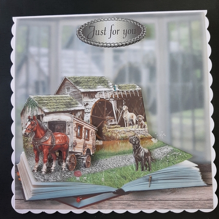 down by the mill by Lorrae Nicklen
