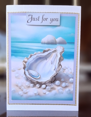 Treasures from the Sea  by Lorrae Nicklen