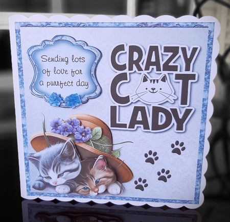  Crazy Cat Lady 8 - 6x6 inch card front with decoupage by Lorrae Nicklen