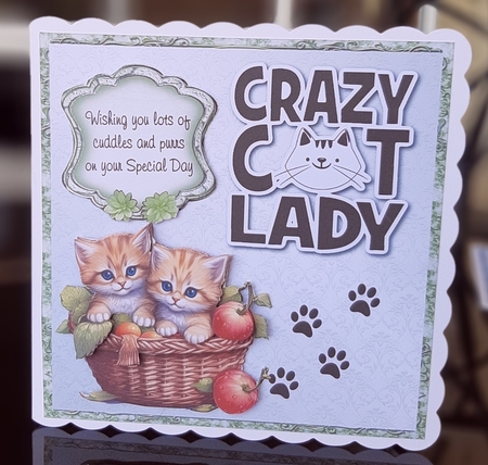  Crazy Cat Lady 10 - 6x6 inch card front with decoupage by Lorrae Nicklen