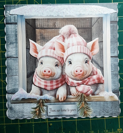 winter pigs by Lorrae Nicklen