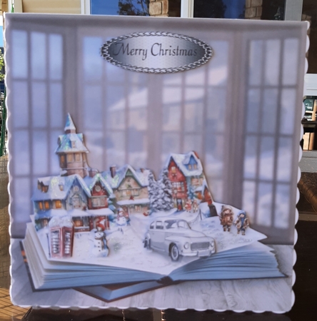 A Winters Day by Lorrae Nicklen
