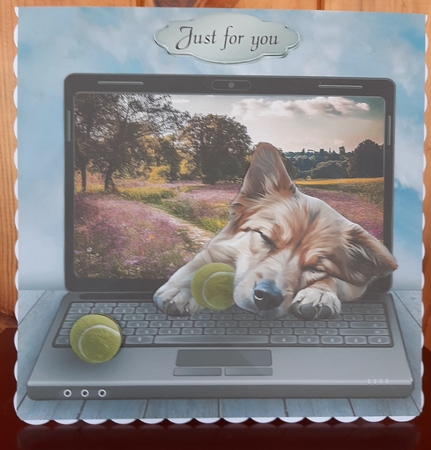 a hard life by Lorrae Nicklen