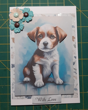 Beautiful Puppy A4 by Lorrae Nicklen
