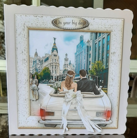 Just wed by Lorrae Nicklen