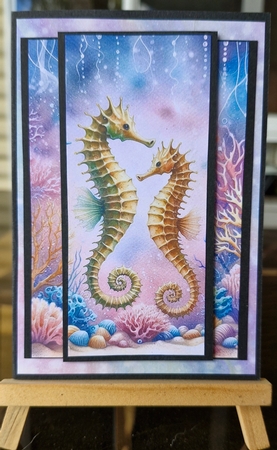 Seahorses  by Lorrae Nicklen