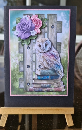 Beautiful Wise Owl Mini Kit by Lorrae Nicklen