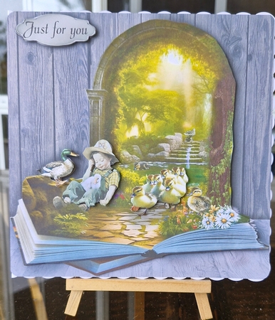 duckling book by Lorrae Nicklen