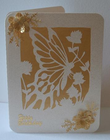 Framed Butterfly by Anna Stretton