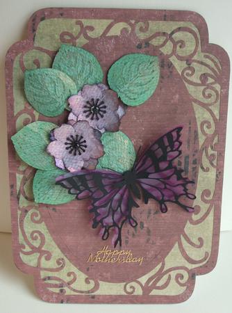 African Violet Flowers & Leaves by Anna Stretton